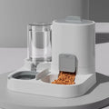 Automatic Cat Feeder